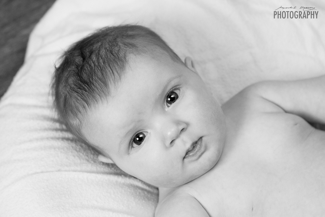 wichita baby photographer, wichita baby photography, wichita ks photographer, baby photographer wichita ks